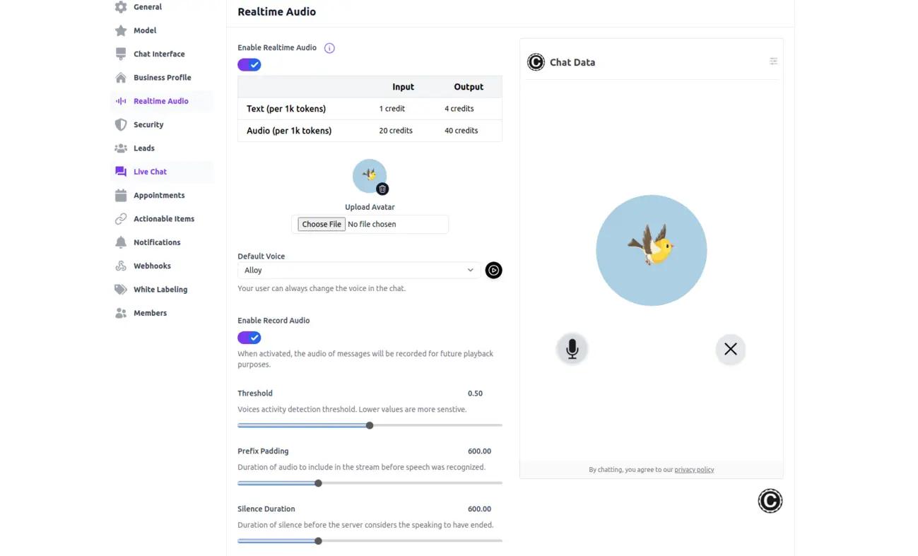 real-time voice mode